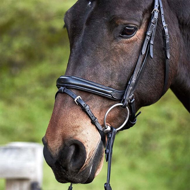 Kavalkade Ivette Patent Leather Dressage Bridle image number null