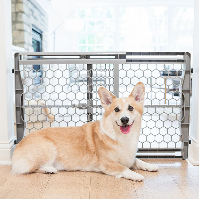 Carlson Plastic Expandable Pet Gate - Closeout image number null