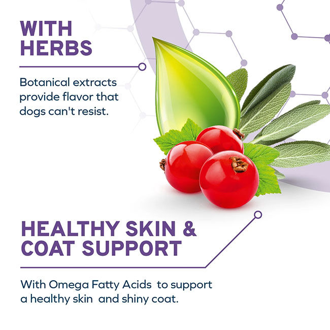 Forza10 DailyPro Sensitive Skin Support Food for Medium & Large Dogs - Wild-Caught Anchovy image number null