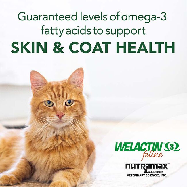 Nutramax Welactin Omega-3 Fish Oil Skin and Coat Health Supplement Liquid for Cats, 4 Ounce image number null