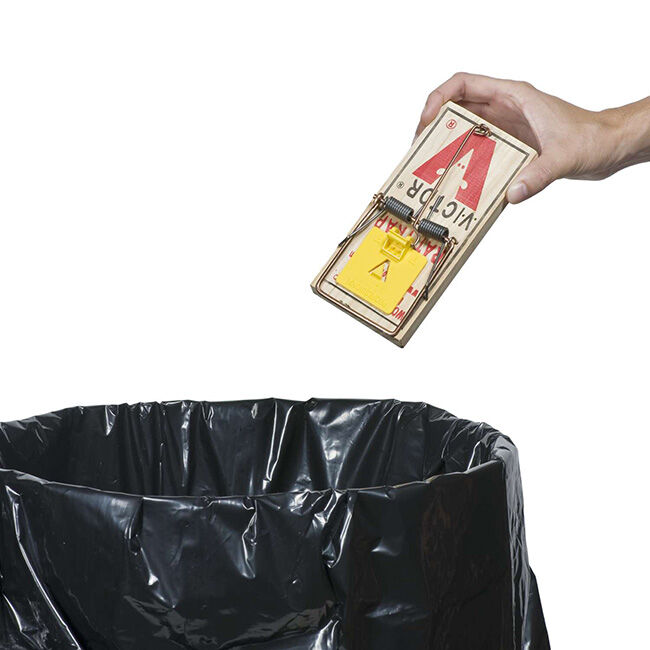 Victor Pest Snap Trap for Rats - Medium image number null