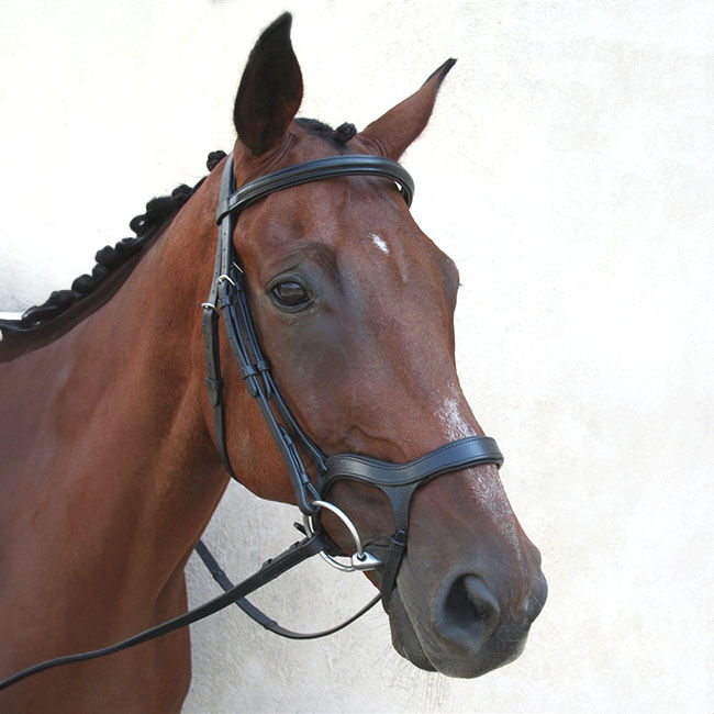 Nunn Finer Innovativo English Bridle image number null