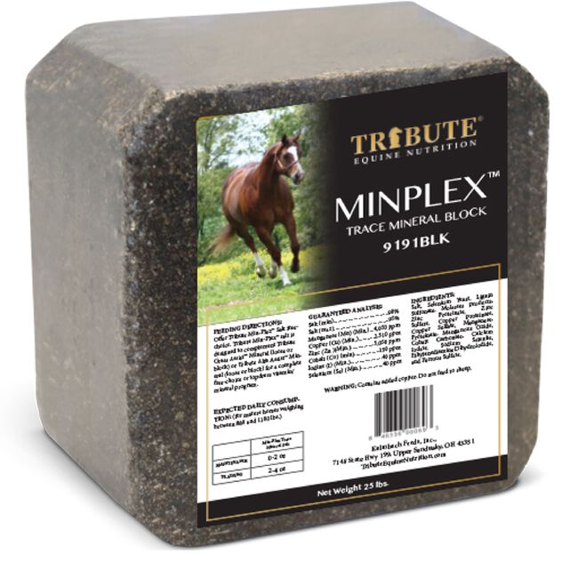 Tribute MinPlex Trace Mineral Salt Block