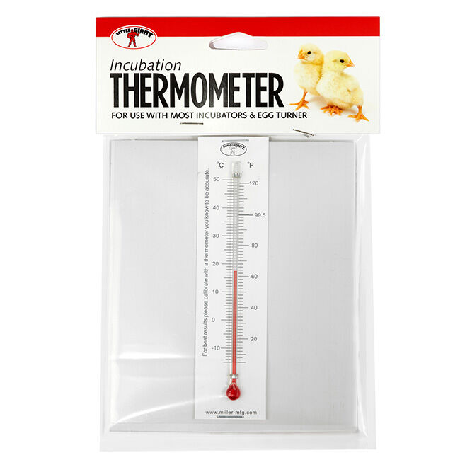 Little Giant Incubator Thermometer image number null