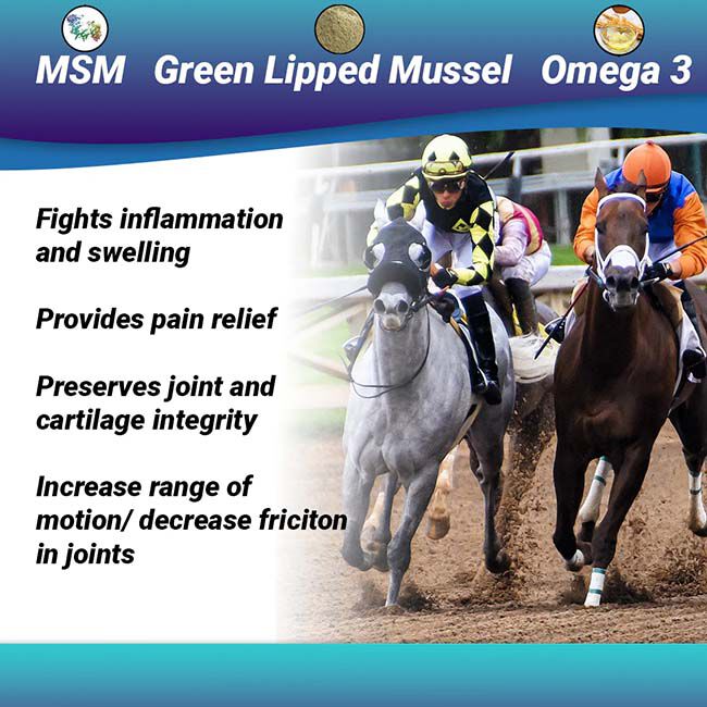 OptiWize Collagen Plus Equine Joint Supplement image number null