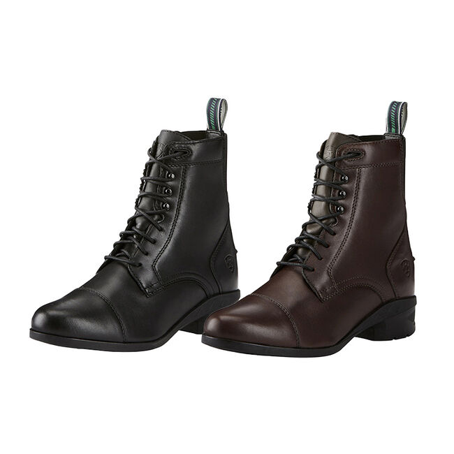 ariat paddock boot laces