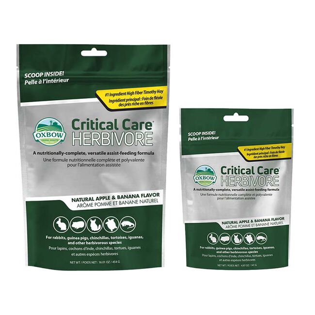 Oxbow Animal Health Critical Care Herbivore - Natural Apple & Banana Flavor image number null