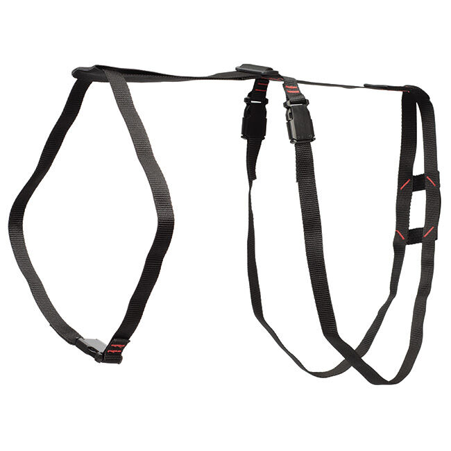 Weaver Livestock Nylon Prolapse Harness image number null