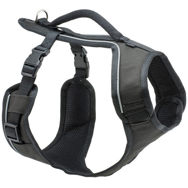 PetSafe EasySport Harness - Black image number null