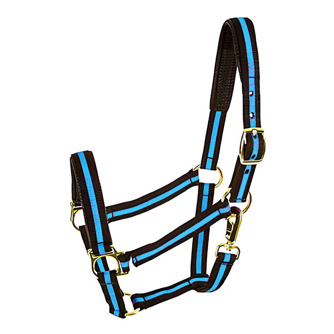 Intrepid International 1" Padded Striped Halter - Yearling/Pony image number null