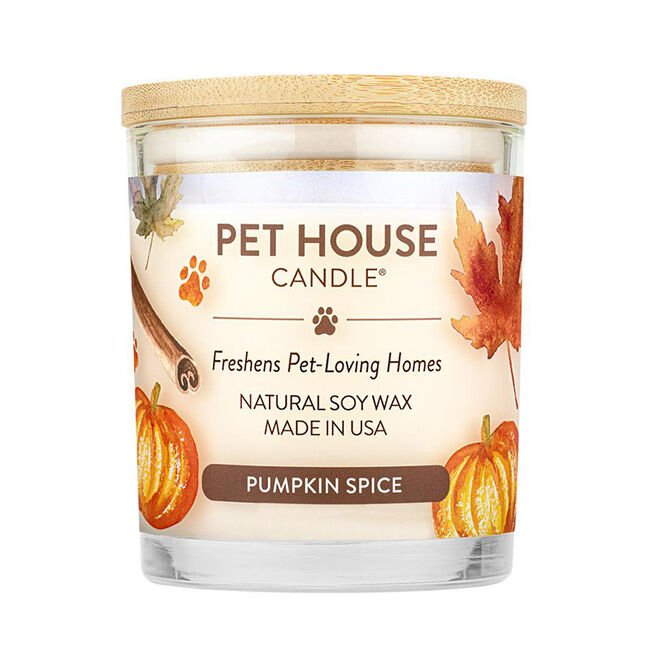 Pet House Candle Pumpkin Spice Candle image number null