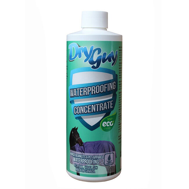 Dry Guy Waterproofing Spray