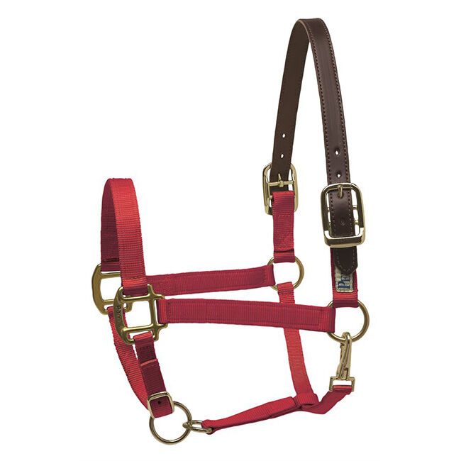 Perri's Leather Nylon Safety Halter image number null