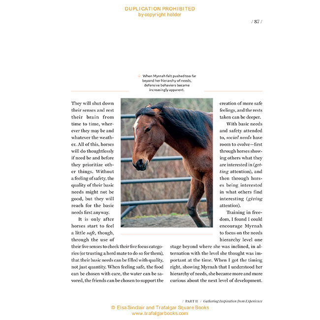 Taming Wild: The Compelling Origins of Freedom Based Training and the Promise It Holds for Horses with Humans image number null