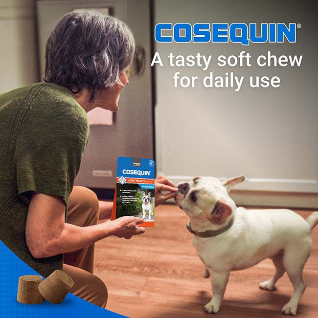 Nutramax Laboratories Cosequin Minis Plus MSM & Boswellia for Small Dogs - 45 Chews image number null
