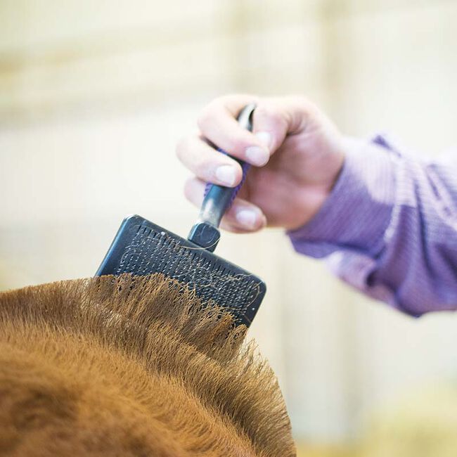 Weaver Livestock Self-Cleaning Slicker Brush image number null