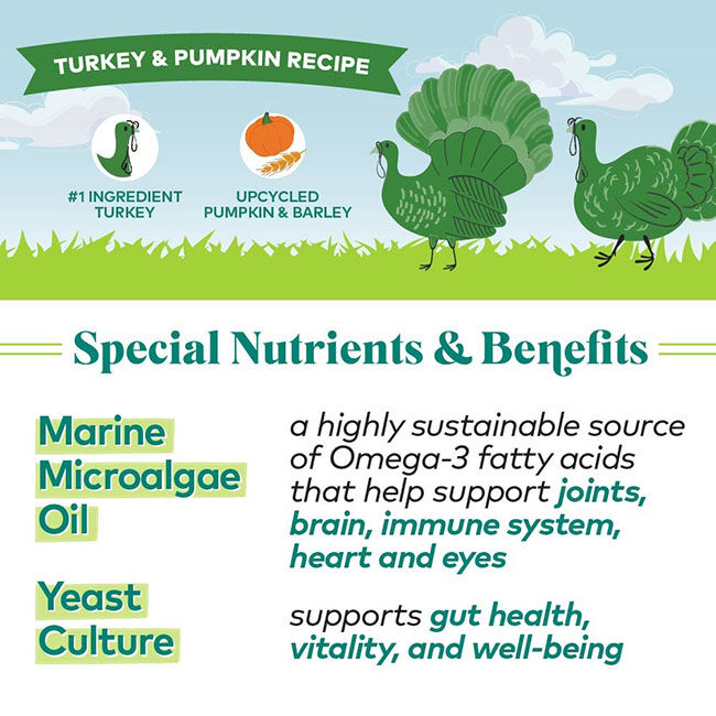Honest to Goodness Protein Bites for Dogs - Turkey & Pumpkin - 5.5 oz image number null