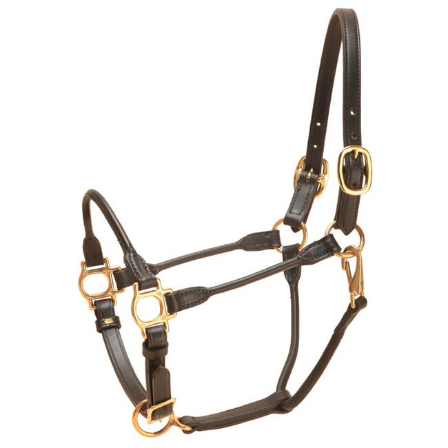 Tory Leather Arabian Rolled Leather Halter image number null