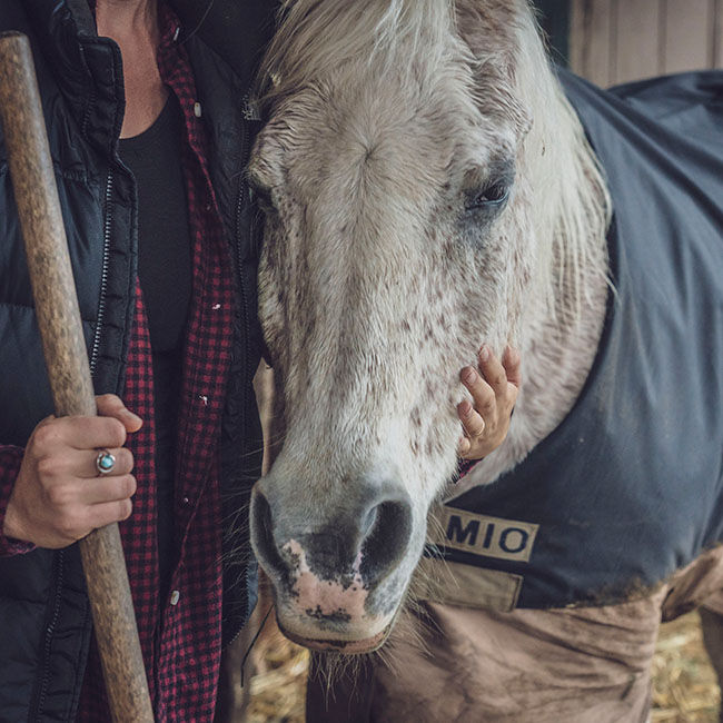 Nikwax Rug Wash image number null