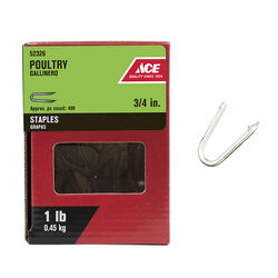 Ace Hardware 3/4" Galvanized Steel Poultry Staples - 1 lb