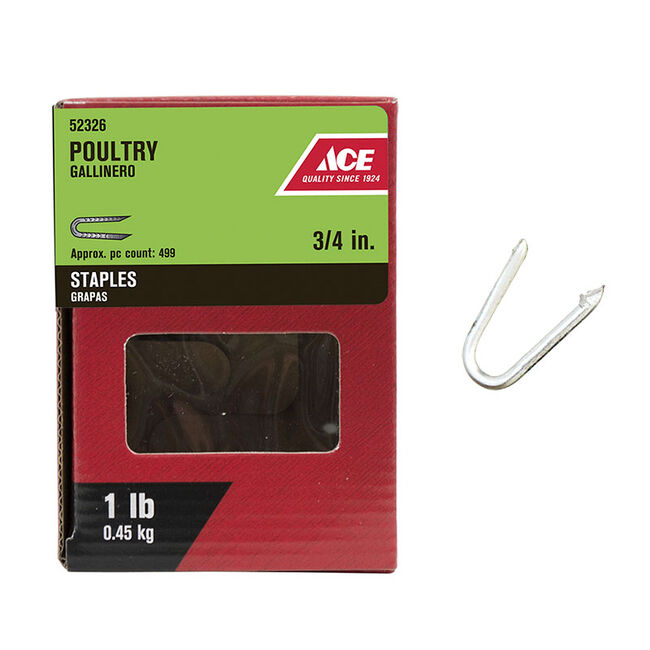 Ace Hardware 3/4" Galvanized Steel Poultry Staples - 1 lb image number null