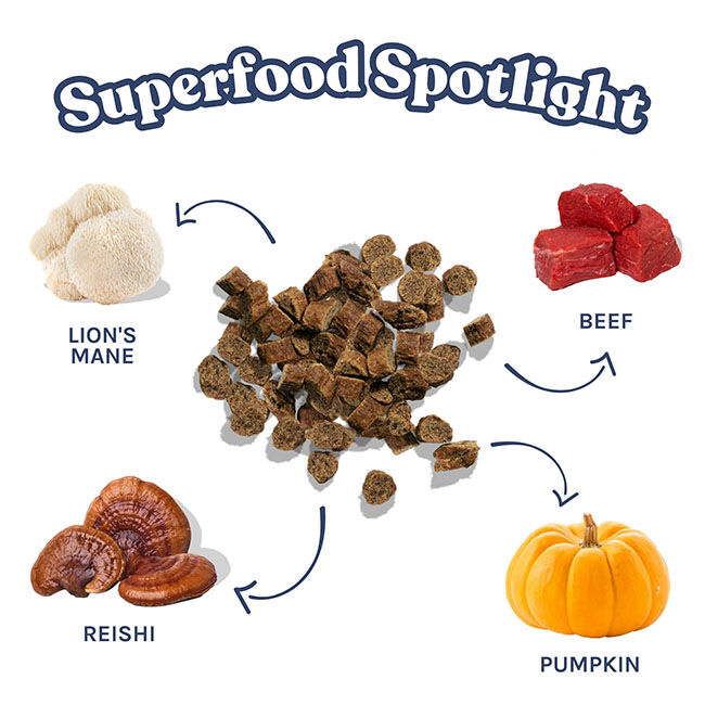 HealthyBud Mini Training Treats - Beef Recipe - 6.5 oz image number null