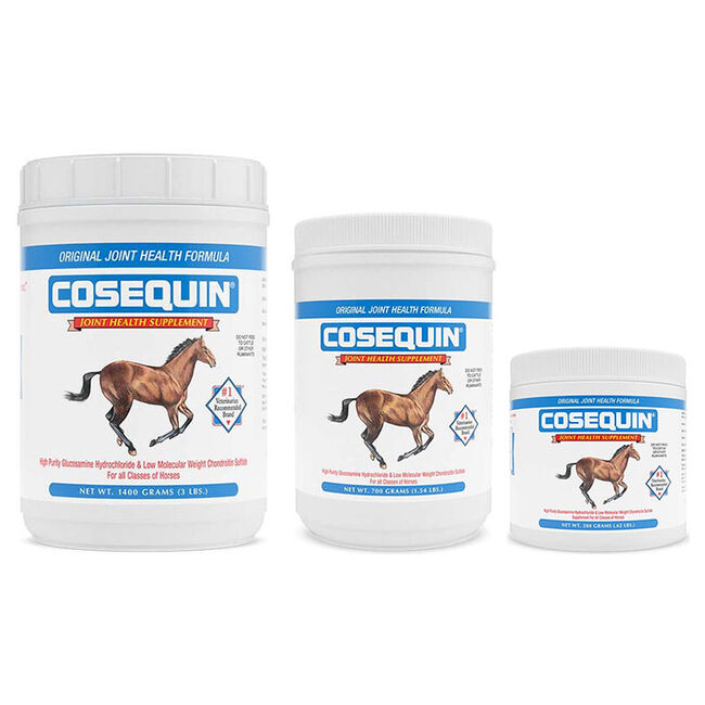 Nutramax Laboratories Cosequin Original Joint Health Supplement for Horses - Powder with Glucosamine & Chondroitin image number null