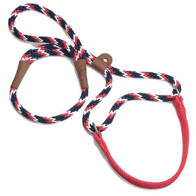 Mendota Dog Walker - Martingale Style Dog Collar & Leash