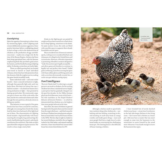 Storey&rsquo;s Guide to Raising Chickens - 4th Edition image number null