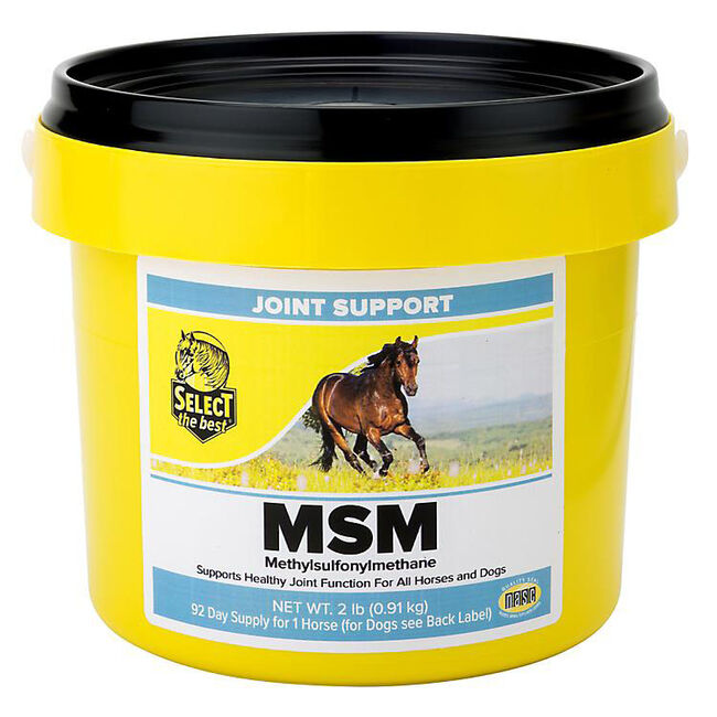 Select the Best MSM image number null