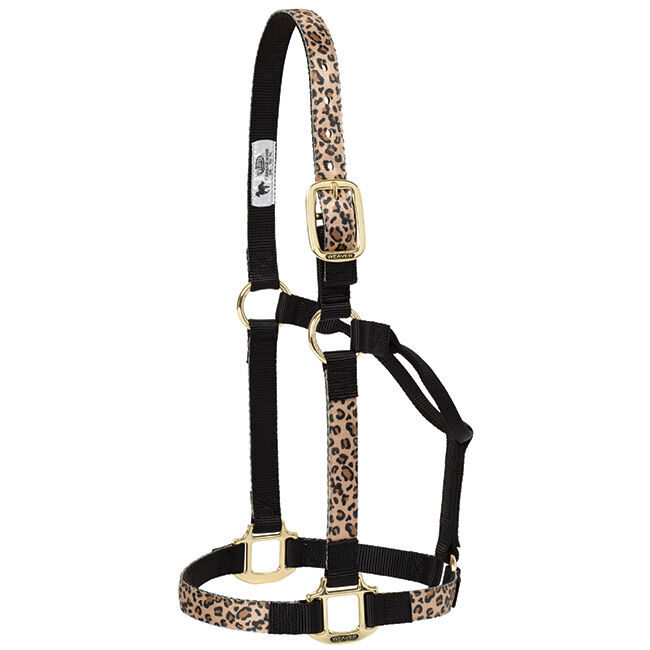 Weaver Equine Adjustable Patterned Halter - Leopard image number null