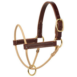 Weaver Equine Horseman's Foal Halter