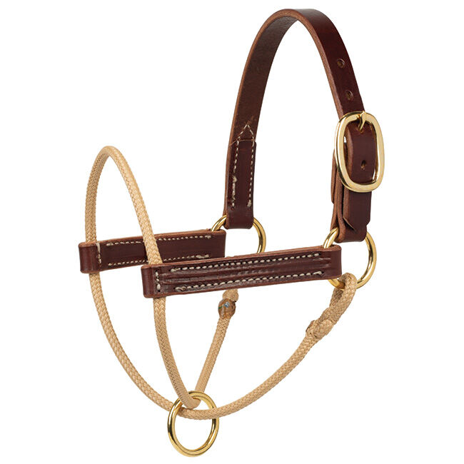 Weaver Equine Horseman's Foal Halter image number null