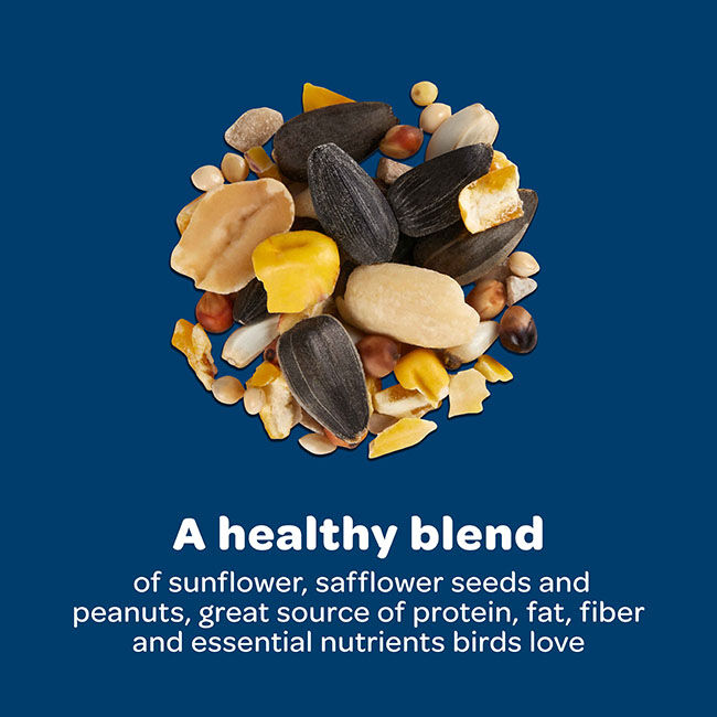 Kaytee Birders' Paradise Blend image number null