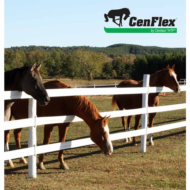 Centaur Fencing CenFlex 5" Flexible Rail image number null