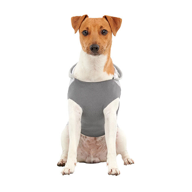 Goo-eez Kangaroo Fleece Hoodie for Dogs - Heather Grey image number null