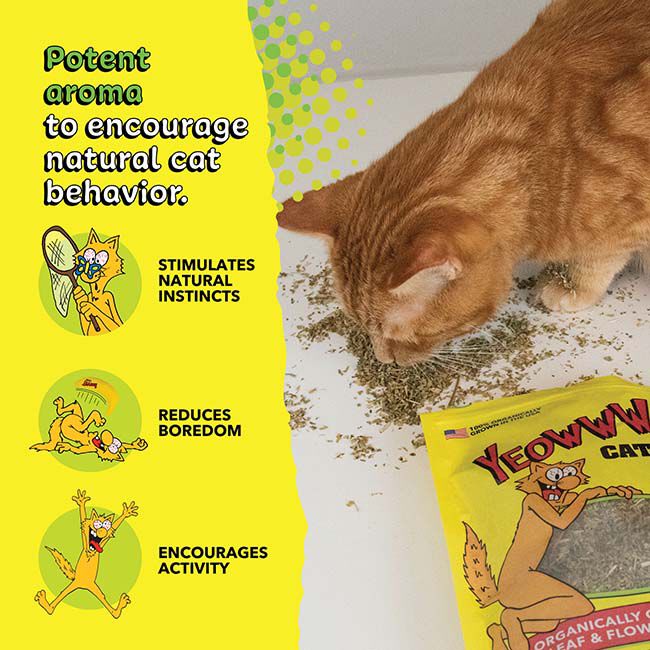 Yeowww! Catnip - 1 oz image number null