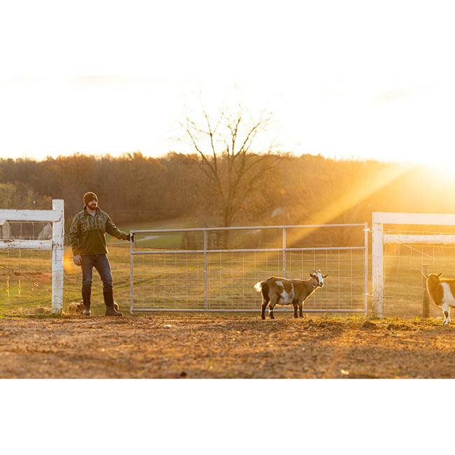 Behlen Country Homesteader Gate - Galvanized image number null