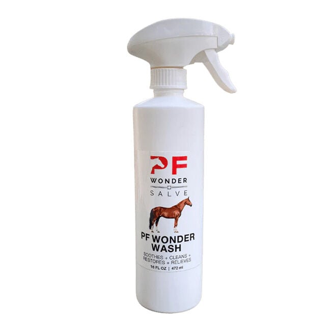 PF Wonder Salve Wash Foam image number null