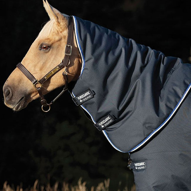 Petmate White Replendish Pet Auto-Feeding System image number null