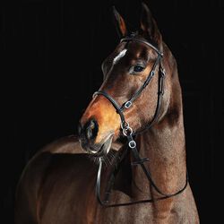 Horze Bitless Bridle