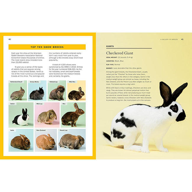 Storey's Guide to Raising Rabbits: Breeds, Care & Housing, 5th Edition image number null
