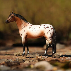 Breyer The Ideal Series - Pony of the Americas