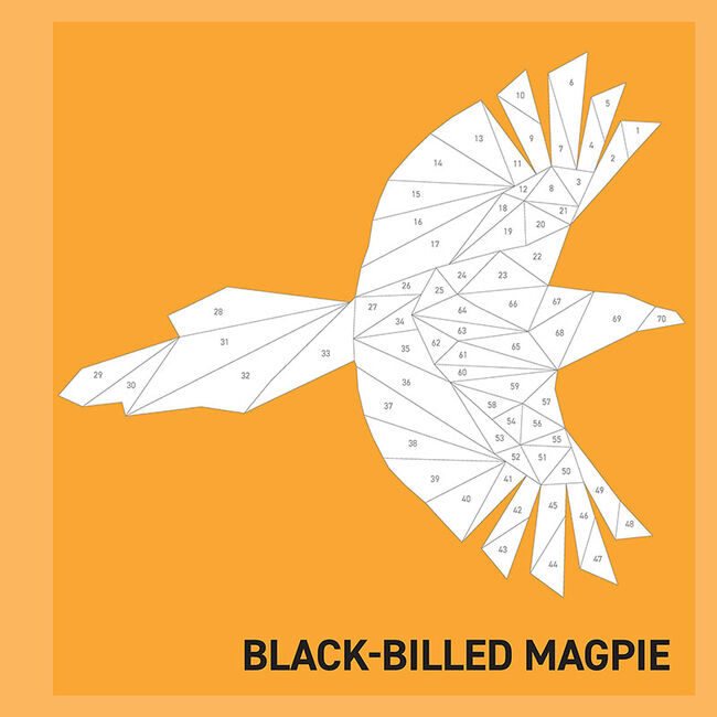 My Sticker Paintings: Birds: 10 Magnificent Paintings for Kids 6-10 image number null