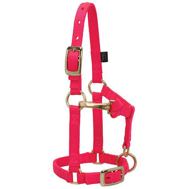 Weaver Mini Horse Adjustable Chin & Throat Snap Halter image number null