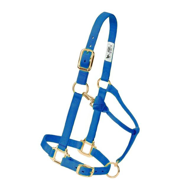 Weaver Adjustable Nylon Halter - Blue image number null
