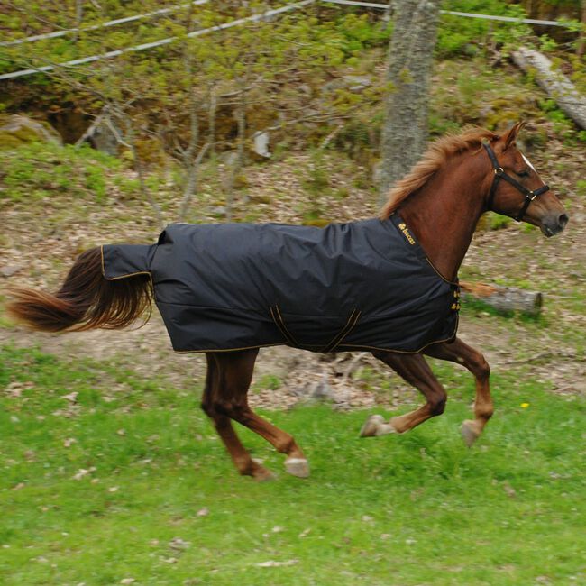 Bucas Irish Light Turnout Black & Gold image number null