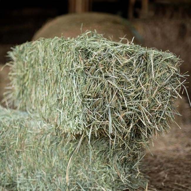 Second Cut Hay image number null