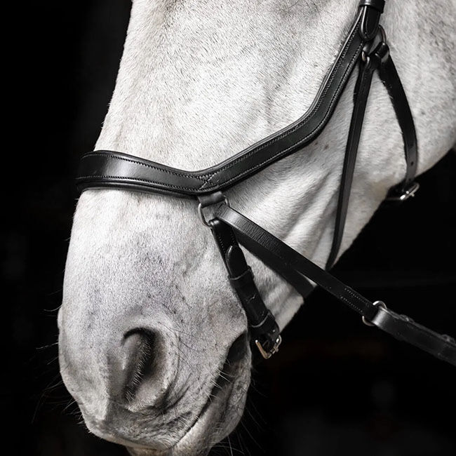 Horseware Micklem Bitless Bridle image number null
