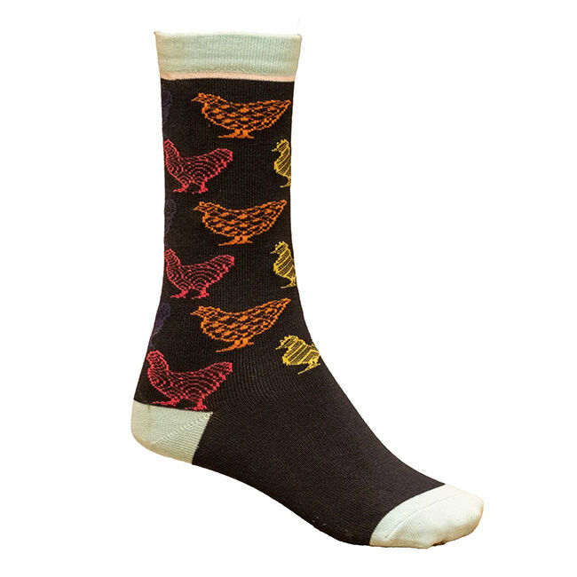 Shires Aubrion Kids' Bamboo Everyday Socks image number null